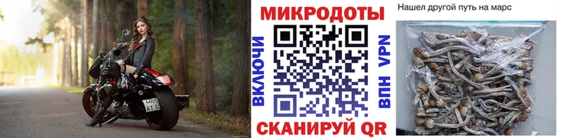 мега ссылка  Покров  Галлюциногенные грибы Magic Shrooms  где найти наркотики 